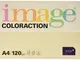 Coloraction Antalis 838A 120S 50-Carta per fotocopie, 250 fogli in formato DIN A4, 120 g/m...