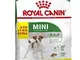 royal canin, Cibo per Cani Mini Adult, 8 + 1 kg Gratis, Confezione da 1 (1 X 9 kg)