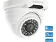 HOSAFE POE Camera Outdoor 1080P con audio, telecamera di sorveglianza di sicurezza domesti...