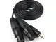 SiYear Cavo di connessione sbilanciato, da mini jack TRS da 3,5 mm a doppio XLR femmina, a...