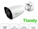 Tiandy - Telecamera IP Mini Bullet 2MP 4mm CableFree Video Analisi WDR - Tiandy - TC-NC214