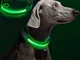 Collare LED per Cani, Raffaelo Collare LED per Cani di Sicurezza di Nylon Luminoso Notte D...