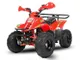 Quad ATV 125cc SPORT EDITION RW MARCE BIG FOOT KXD 001