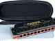 CASCHA Professional Harmonica, C Maggiore Blues Harmonica, Diatonic Harmonica a 10 fori pe...