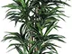 Dracena Variegata - Albero Artificiale da Arredo Interno con Tronchi Veri - Alto 150 cm