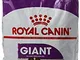 Royal Canin Giant Adult 15 kg