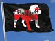 Zudrold Bandiere da Esterno Georgia Flag Bulldog Flag per Tifoso di Sport Pallacanestro Ho...