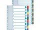 Esselte - 100166 - CF10 RUBRICA MYLAR A-Z F.TO A4 COLO