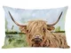 Sunptoo Highland Grazer Cozy Cotton Rectangle Decorative Lumbar Throw Pillow Covers Throw...