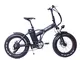 WYX Biciclette Pieghevoli Elettrico, Fat Tire Crouser Bicicletta con Motore 500W E Rimovib...