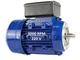 Alren - Motore elettrico monofase 0,55 kW, 0,75 CV, 220 V 3000 rpm, ancoraggio tramite fla...