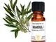 Niaouli Pure Essential Oil 10 ml, ambra-Bottiglia in vetro a goccia con Amphora Aromatics;...