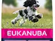 EUKANUBA Alimento Completo per Cani Cuccioli di Taglia Media al Pollo, Brown, 3 kg (Confez...