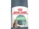 ROYAL CANIN Food for Gatos Digestive Care 2 kg