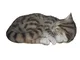 Arti Vivid RealLife Gatto Dorme tigrato Dimensioni B