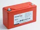 Enersys - Batteria Piombo Puro Powersafe SBS15 12V 14Ah M6-V