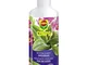 COMPO, Idratante Fogliare per Orchidee, Per tonificare, pulire e idratare le orchidee, 250...