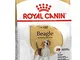 ROYAL CANIN Beagle Adult 12 kg Corn Poultry