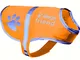 4LegsFriend Gilet riflettente per cane, 5 taglie, alta visibilità per attività all'aperto,...