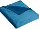 AmazonBasics - Coperta Vellutata in Pile, 168 x 229cm, color Verde acqua