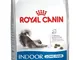 ROYAL CANIN Cibo Secco per Gatti Capelli Lunghi Indoor Long Hair - 2000 gr