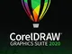 CorelDRAW Graphics Suite 2020 | Subscription Windows | 1 Dispositivo | 1 Anno | PC | Codic...