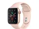 Apple Watch Series 5 40mm (GPS + Cellular) - Cassa In Alluminio Color Oro Con Cinturino Sp...