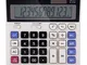 FSGD Calcolatrice da Tavolo con Funzione Standard con Tasti di Grandi Dimensioni e 12 cifr...