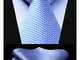 HISDERN Cravatte uomo Azzurro e bianco da matrimonio e Fazzoletto Cravatte fantasia plaid...