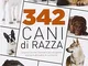 342 cani di razza