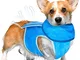 Gilet Rinfrescante per Cane Set di Giacca Estiva e Collare a Bandana per Cani Piccoli Capp...