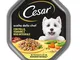 Cesar Scelta Dello Chef Cibo Umido per Cane con Pollo alla Griglia,Riso Integrale e Verdur...