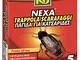 KB Nexa Trappole per Blatte e Scarafaggi, x5