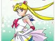 Sailor Moon Supers Part 1: Season 4 (3 Dvd) [Edizione: Stati Uniti]
