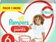 Pampers Premium Protection Pants Dimensione 6, 116 pannolini, 1 mese Box