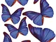 Plage 3D Charming Butterfly Stickers Decoration-Indigo Trasparente [7 Butterflies Between...