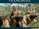 Enciclopedia. Pastore Tedesco (Cani. Le enciclopedie)