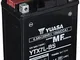 BATTERIA YUASA YTX7L-BS