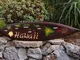 Qidushop - Targa in legno con tavola da surf Tiki e scritta "Hand Craved", motivo: Tiki Ba...