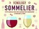 Vinology Sommelier: Tutto quello che devi sapere per conoscere e gustare il vino