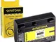 PATONA Batteria NP-FV50 Compatibile con Sony CX Serie HDR-HC3 HDR-HC7 DSC-HX1