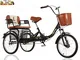 Triciclo per adulti pieghevole con seggiolino per bambini Bicicletta a 3 ruote per tricicl...