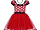 IWEMEK Bambino Minnie Abito Ragazza Costume da Minnie Vestito Principessa Balletto Tutu Da...