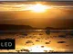 Sony KD55A1 OLED 55" 4K Ultra HD Smart TV Wi-Fi Nero