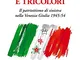 Bandiere rosse e tricolori. Il patriottismo di sinistra nella Venezia Giulia 1945-54