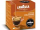 Lavazza 144 Capsule caffè Modo Mio Delizioso