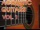 Chitarre acustiche Vol. 1 è una raccolta di 128 licks per chitarra pronti all'uso con vibr...