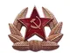 GFM - Spilla in Metallo e Smalto in Stile Militare Comunista sovietico (LF) a Forma di Mar...