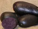 GEOPONICS Trading Violetta Patate da Semina x 20 tuberi. Uno dei Primi varietà della Racco...
