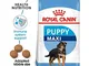 Royal Canin Maxi Junior Dogs food 15 kg